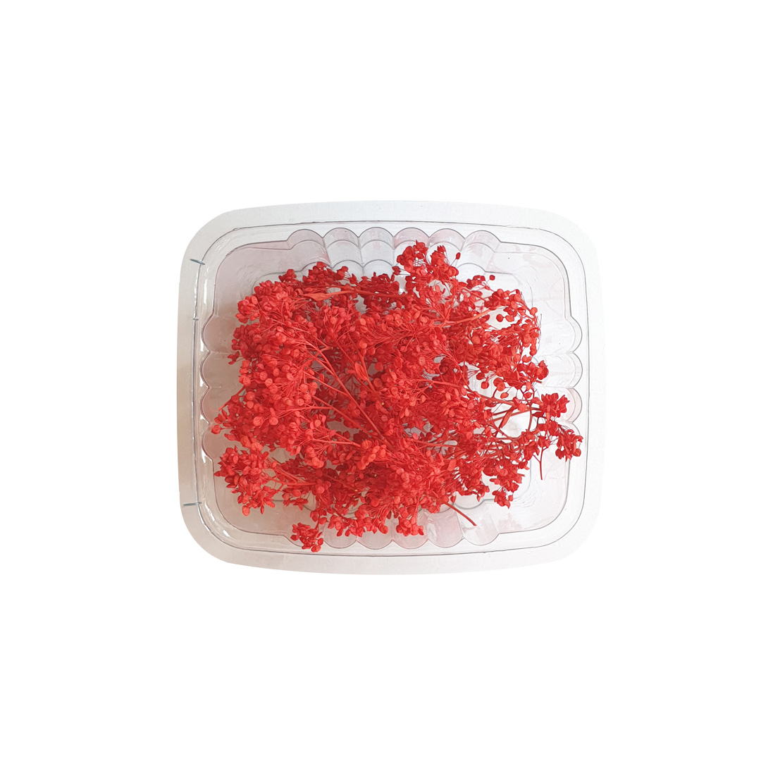 گل خشک مدل mono red