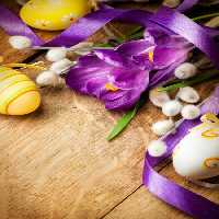 خرید و دانلود عکس Flower-Part-2 کد 17778 | پیک فاکس | Pic Fox