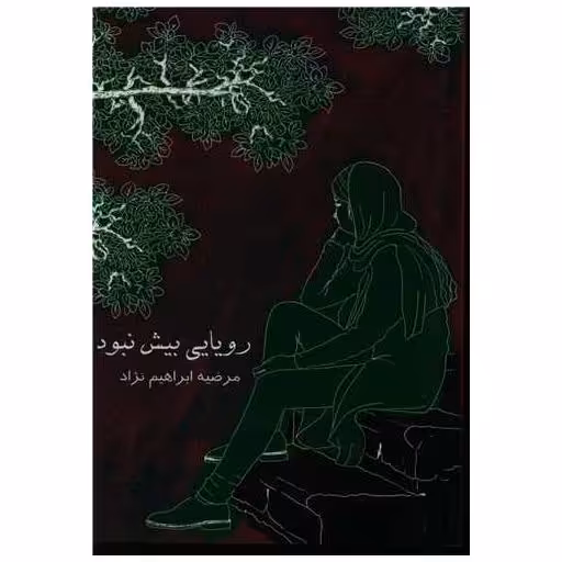 کتاب رویایی بیش نبود اثر مرضیه ابراهیم نژاد