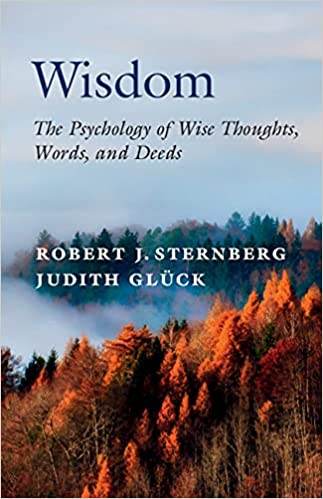 خرید و دانلود نسخه کامل کتاب Wisdom: The Psychology of Wise Thoughts, Words, and Deeds - Pdf