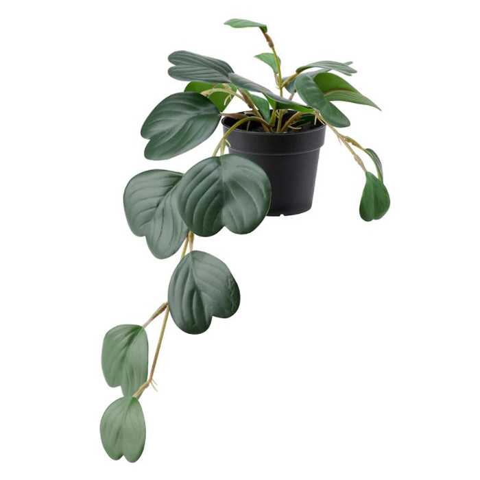 گل مصنوعی پپرومیا (گل قاشقی) ایکیا مدل FEJKA کد 00468446