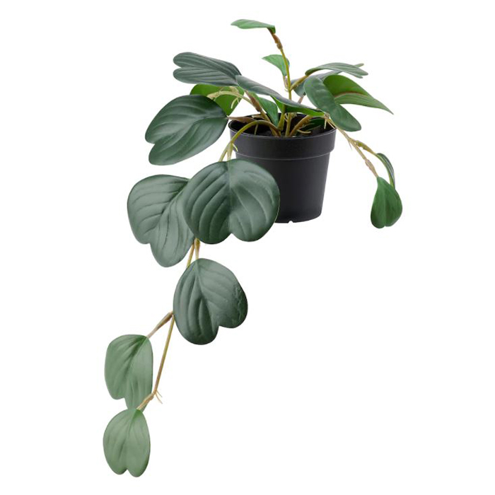 گل مصنوعی پپرومیا (گل قاشقی) ایکیا مدل FEJKA کد 00468446