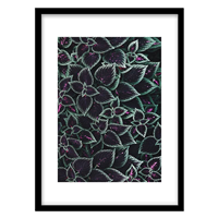 قیمت و خرید ‌‌‌‌تابلو دکوراتیو مدل عکاسی برگ کد 2208