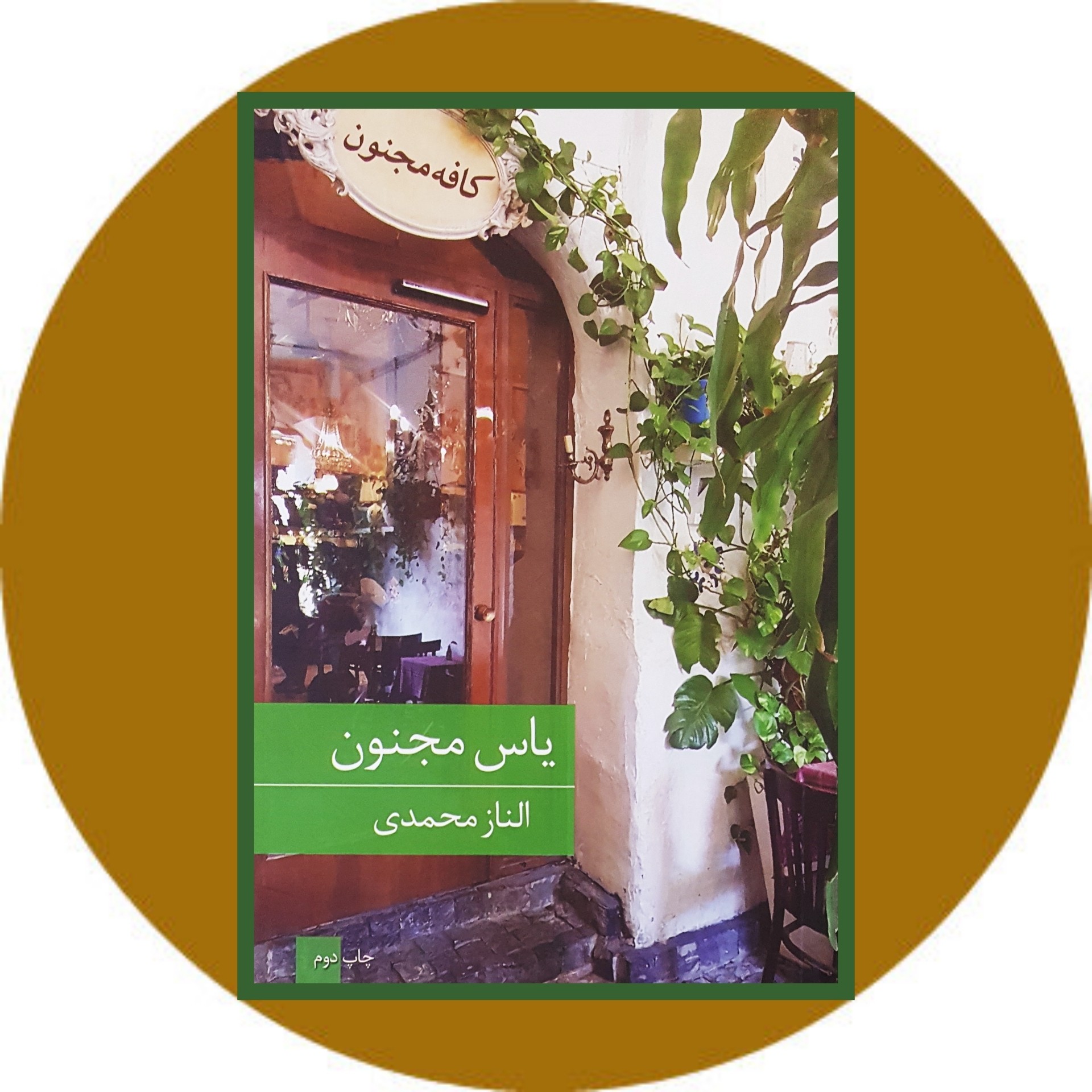 کتاب یاس مجنون - خرید با تخفیف چهل درصد از کتاب دایره قهوه ای -