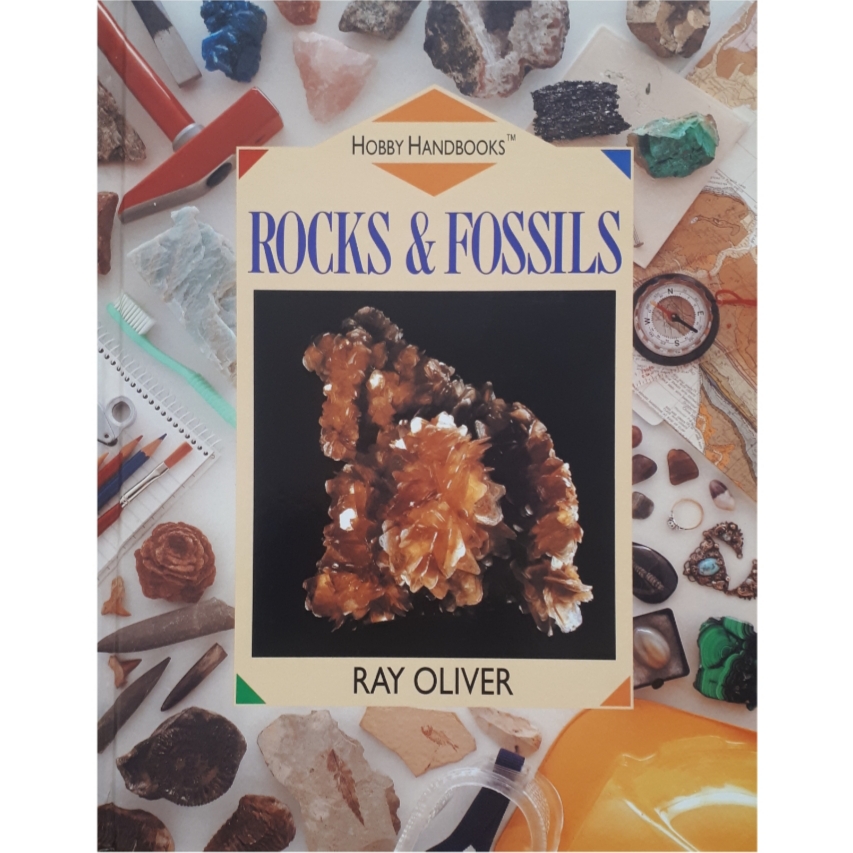كتاب ROCKS AND FOSSILS اثر جمعي از نويسندگان انتشارات Random House