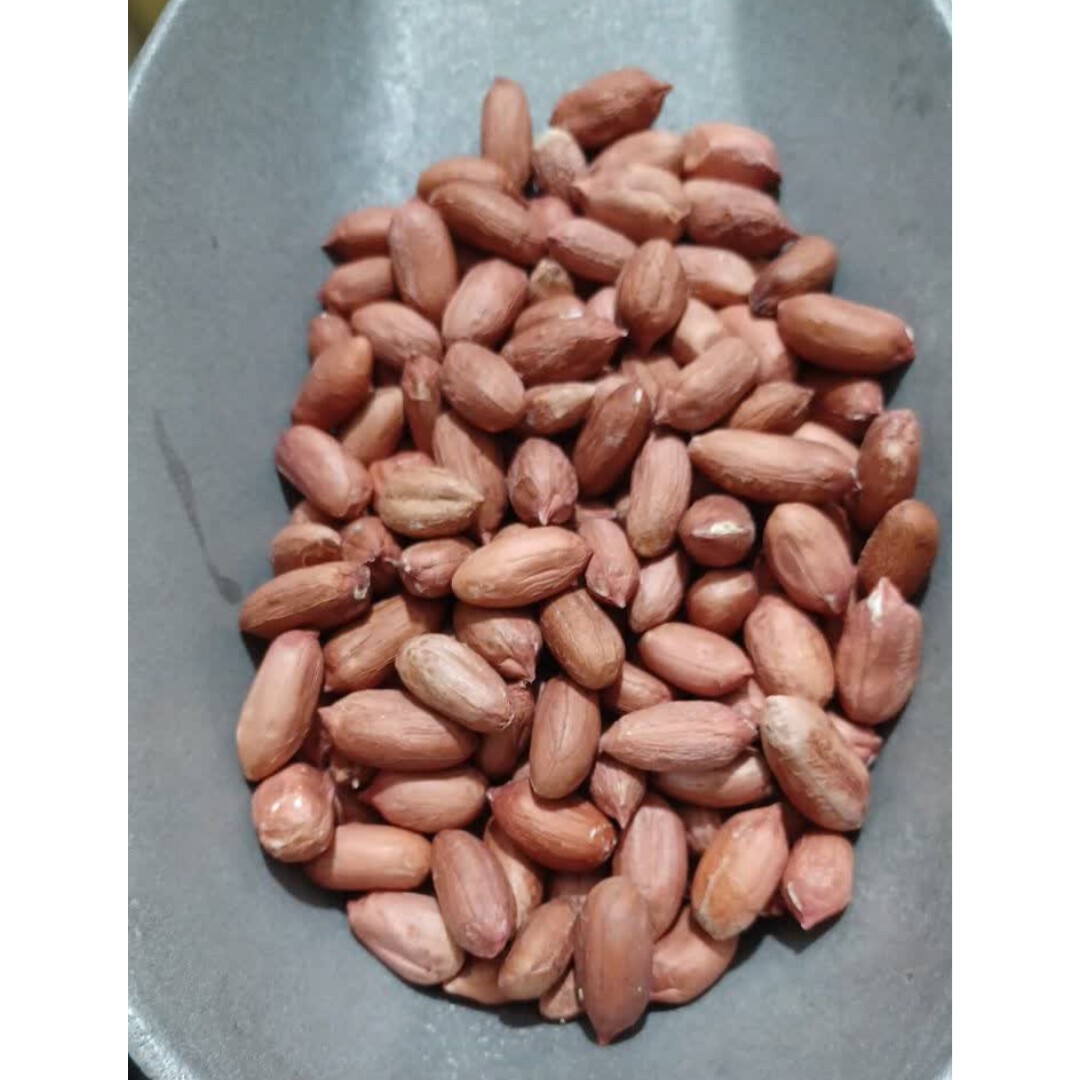 بذر بادام زمینی استانه