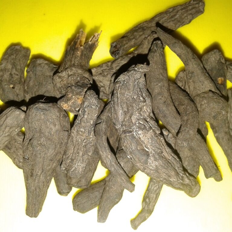 جدوار سیاه اصل مالزی درشت 20 گرمی کمیاب اصلی