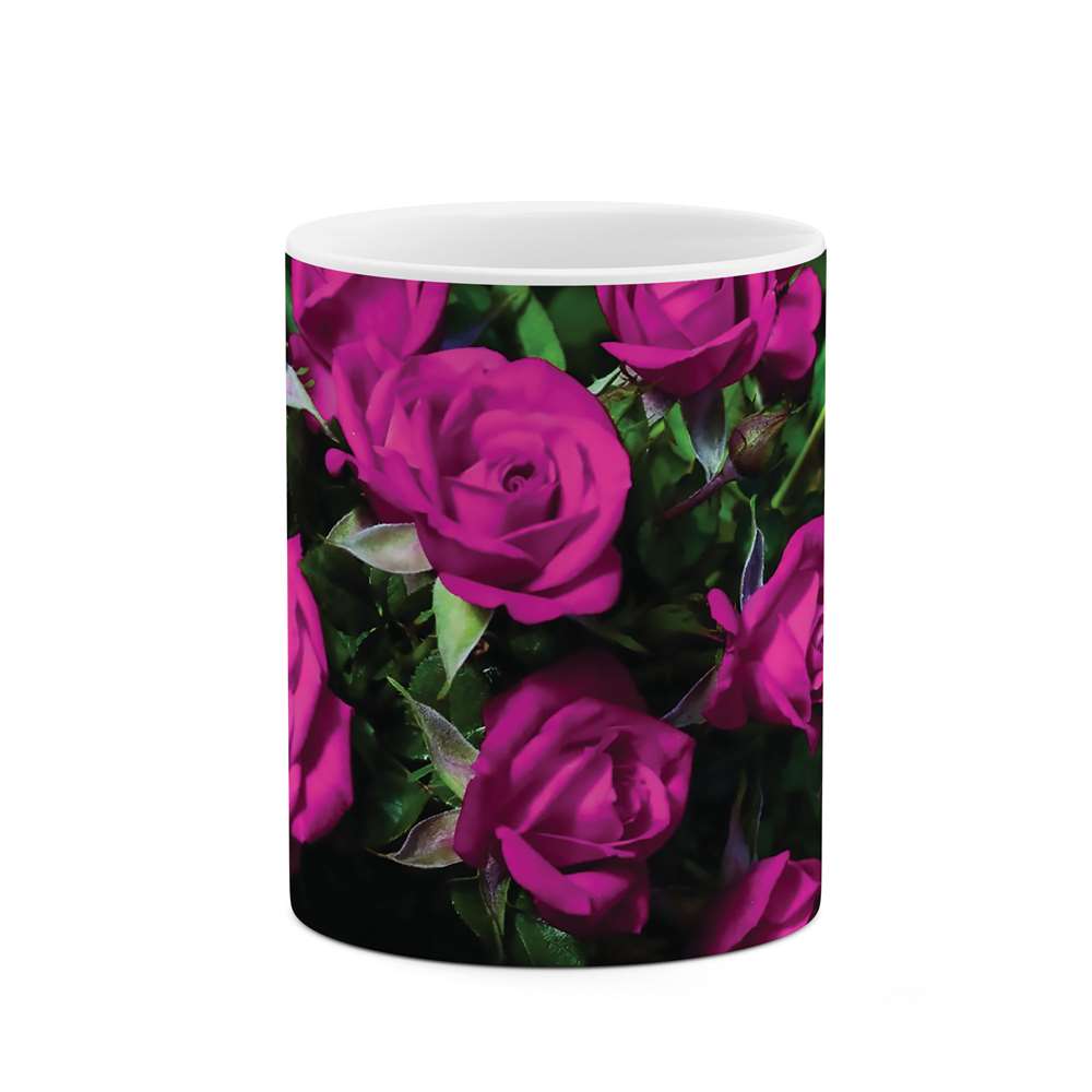 ماگ طرح گل مدل mgs04960