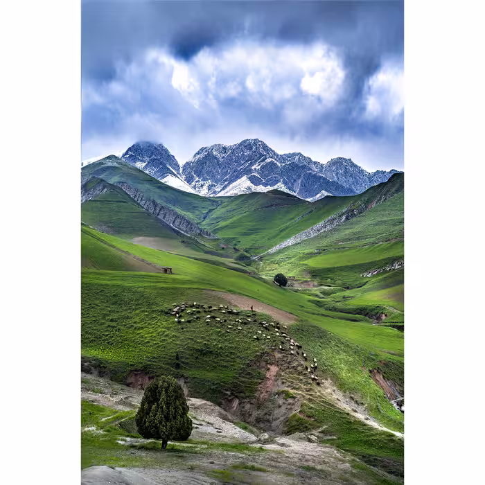 تابلو طرح طبیعت کد t160