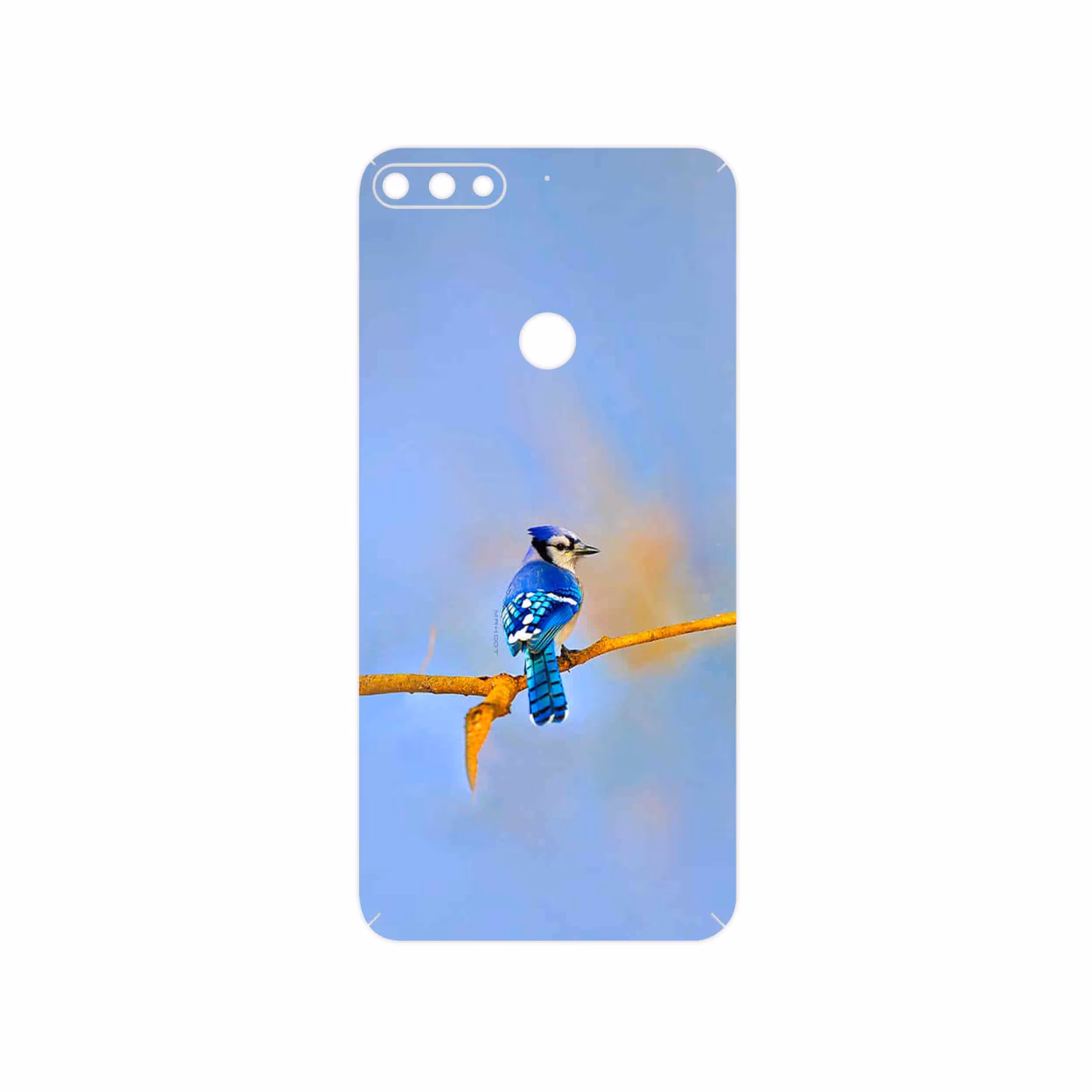 برچسب پوششی ماهوت مدل Cyanocitta cristata مناسب برای گوشی موبایل آنر 7C