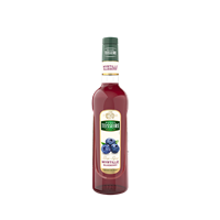 سیروپ بلوبری 700 میلی لیتر تیسر TEISSEIRE