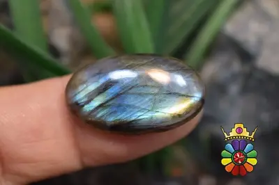 لابرادوریت