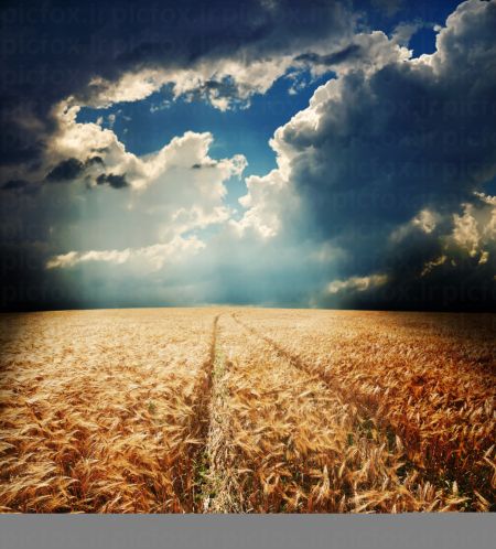 خرید و دانلود عکس IranBCS کد 29978 | پیک فاکس | Pic Fox