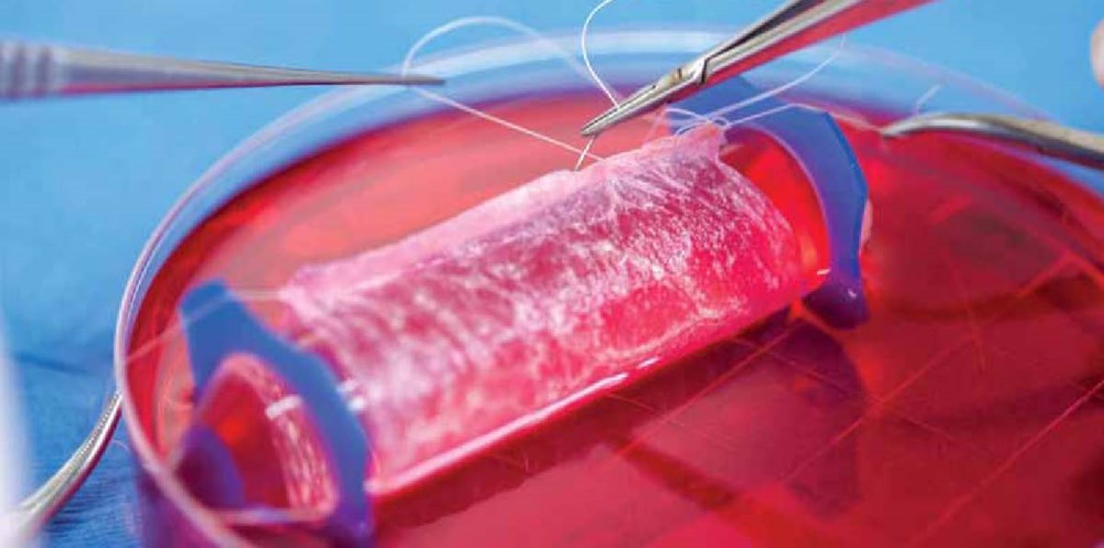 تحقیق آشنایی با مهندسي بافت