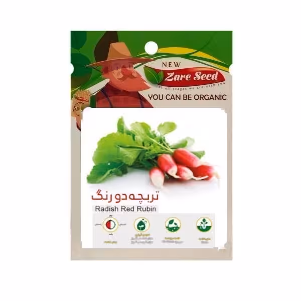 بذر تربچه کشیده (فرانسوی) دو رنگ به همراه روش کاشت/ قیمت+خرید