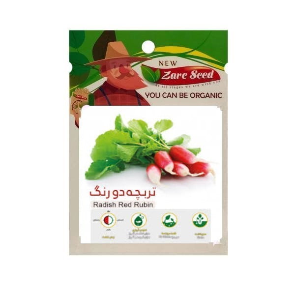 بذر تربچه کشیده (فرانسوی) دو رنگ به همراه روش کاشت/ قیمت+خرید