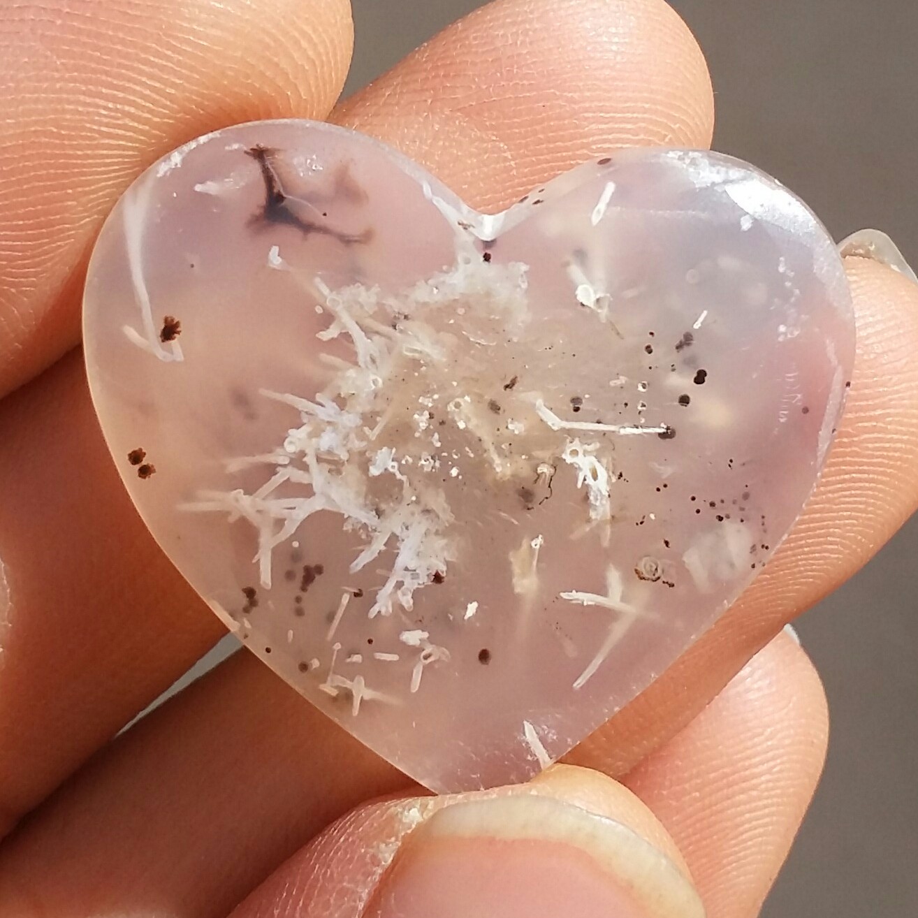 نگین شجر شکوفه با شجر های بسیار واضح و خوش رنگ بسیار خاص و زیبا شاهکار خلقت کد 11096