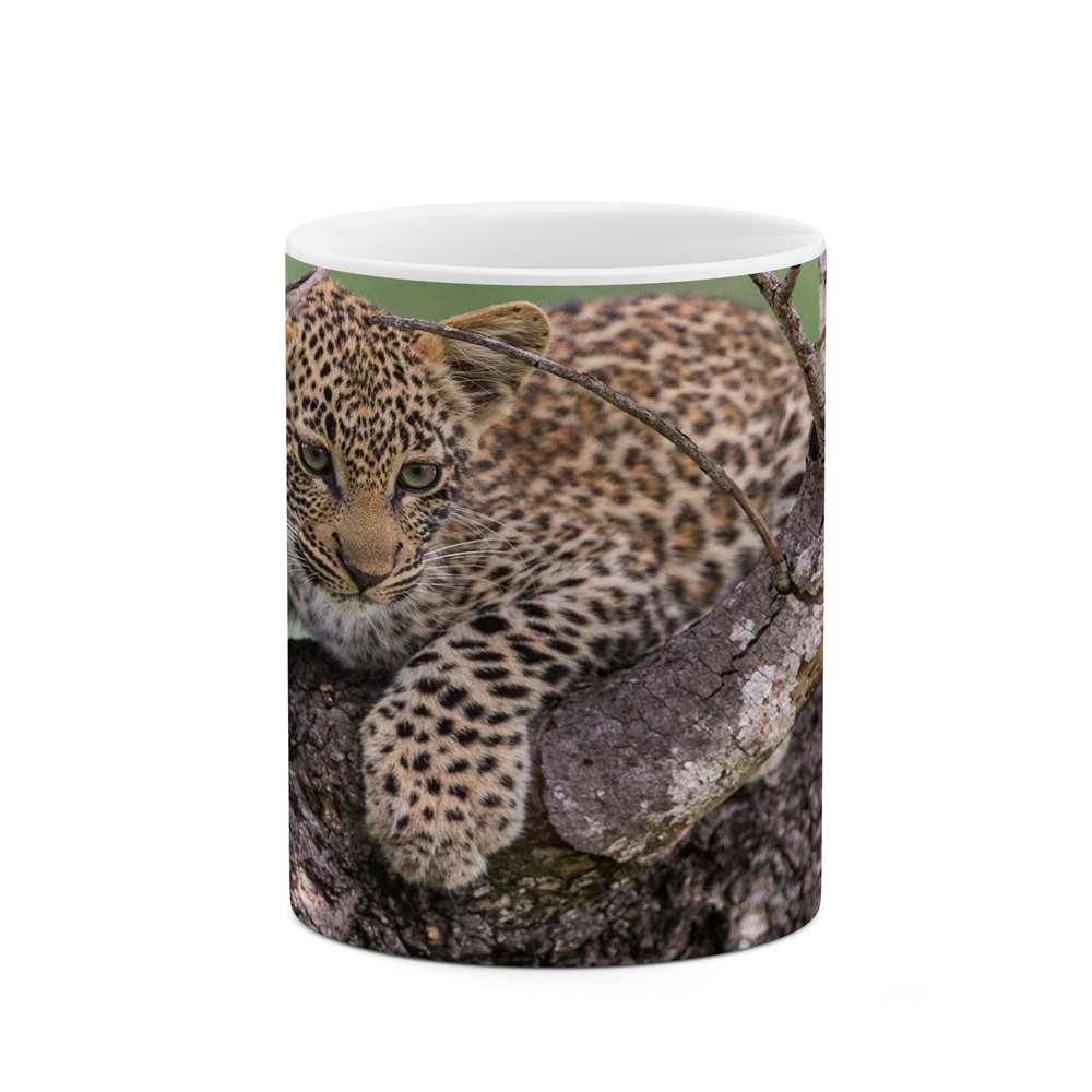 ماگ کاکتی طرح پلنگ مدل mgs16436