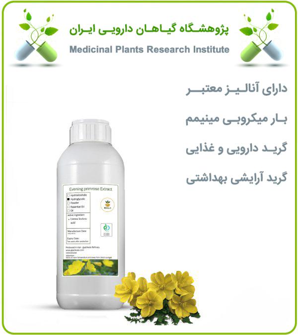 روغن گل مغربی