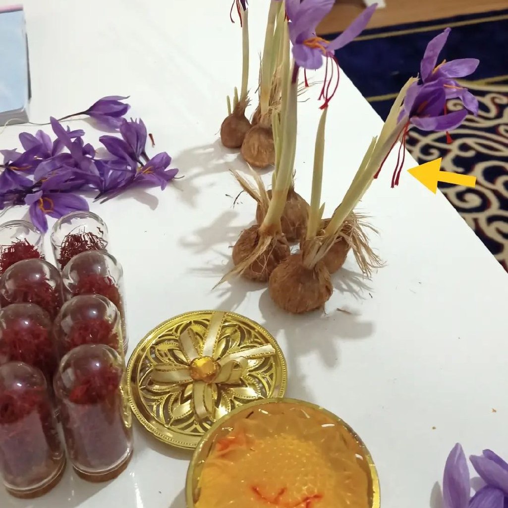 زعفران پوشال درجه1 5گرمی