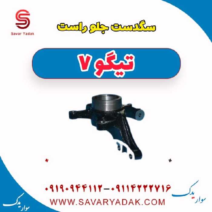 سگ دست جلو راست تیگو7