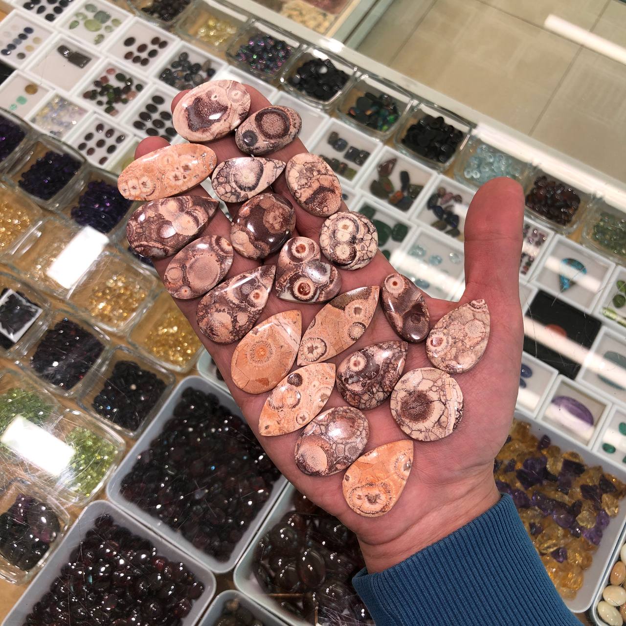 پک همکاری سان فلاور جاسپر طبیعی 240138