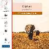 برچسب پوششی ماهوت مدل Elephant مناسب برای تبلت سامسونگ Galaxy Tab E 9.6 2015 T560