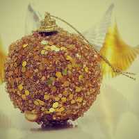 خرید و دانلود عکس Christmas_gift-6 کد 12358 | پیک فاکس | Pic Fox