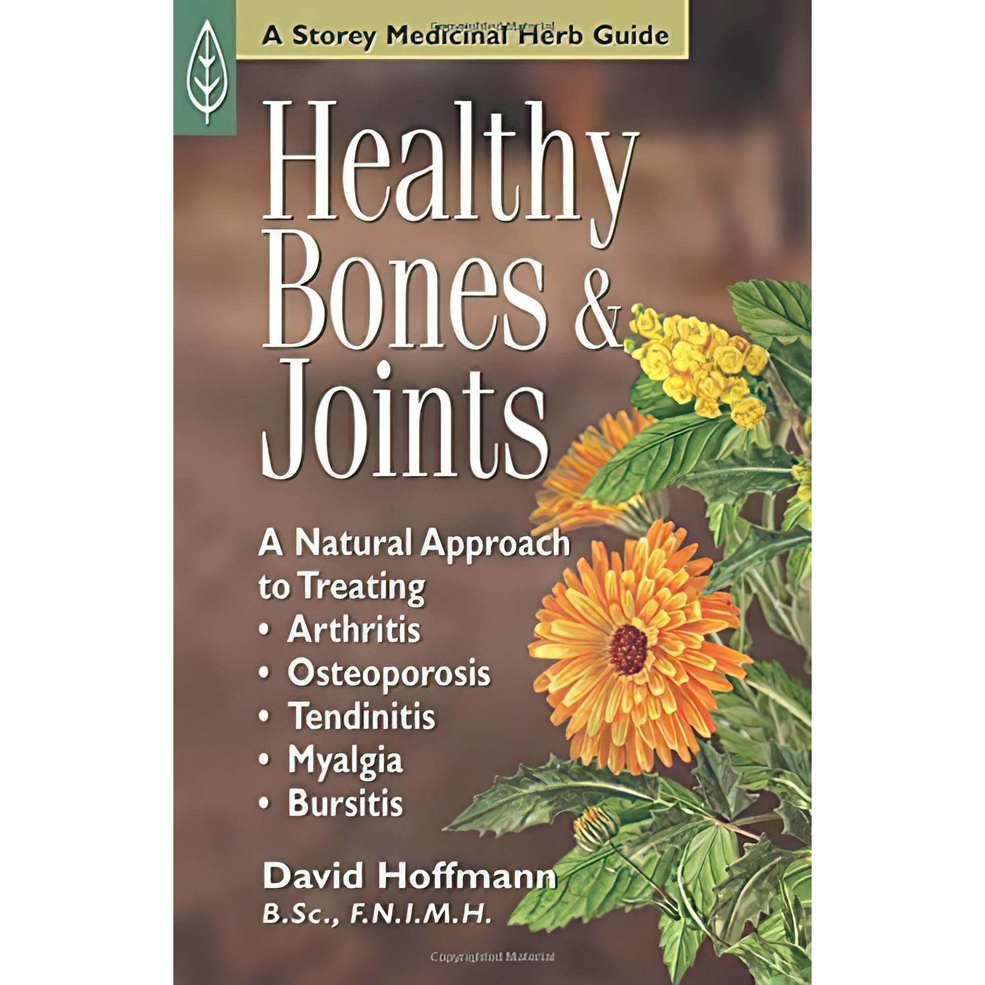 کتاب Healthy Bones   Joints اثر David Hoffmann انتشارات Storey Publishing LLC
