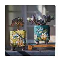  کاشی کارنیلا طرح گلدان های کاکتوس کد wkk667