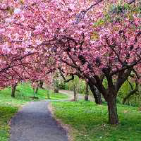 خرید و دانلود عکس IranBCS کد 27531 | پیک فاکس | Pic Fox