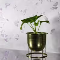 کاغذدیواری اتم atom6062 
