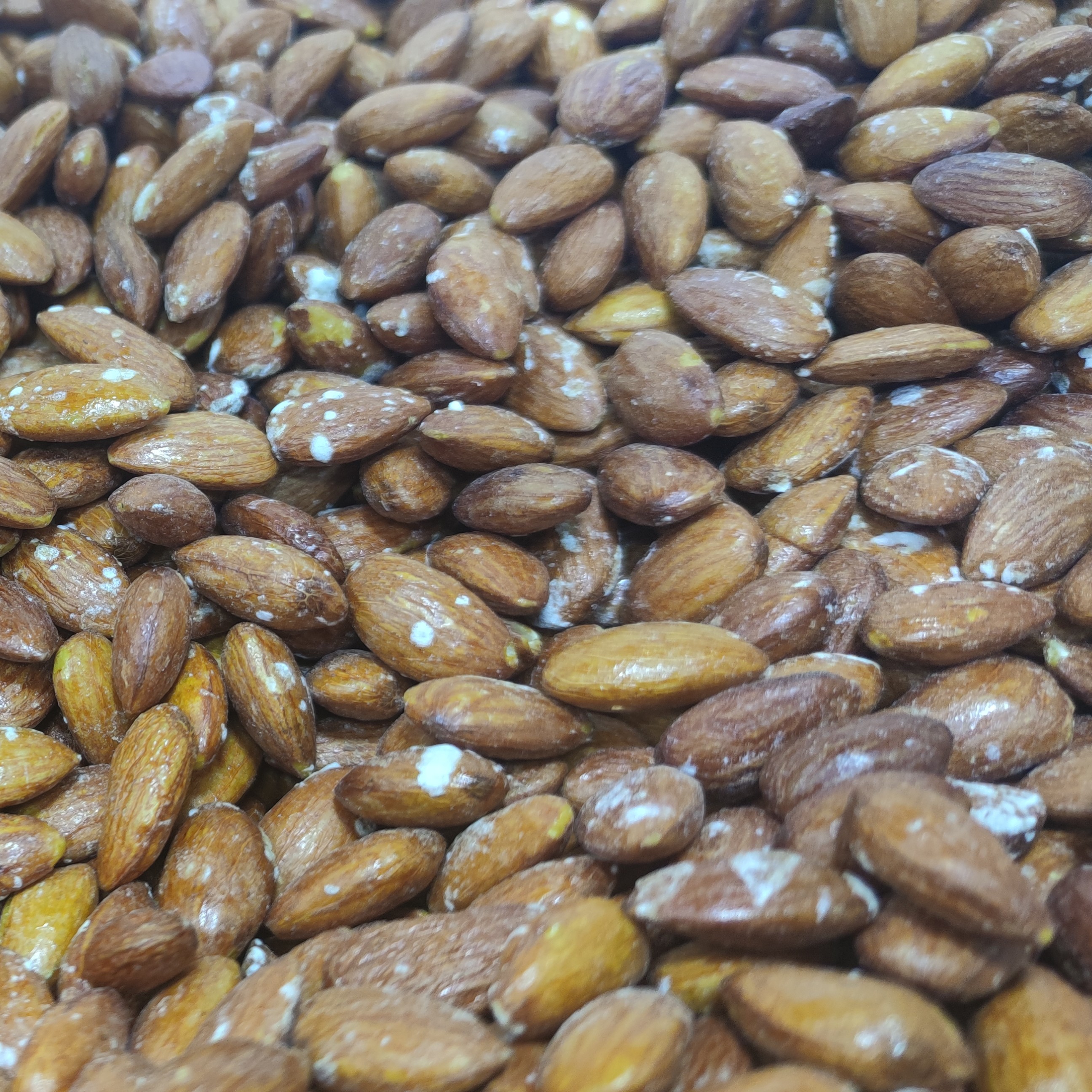 بادام درختی شور