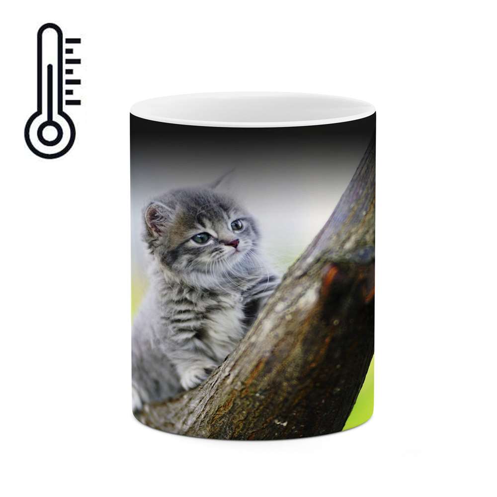 ماگ حرارتی کاکتی طرح گربه مدل mgh16637