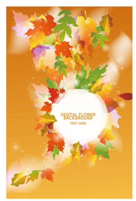 خرید و دانلود عکس ShutterStock-2014-Backgrounds & Textures کد 53264 | پیک فاکس | Pic Fox