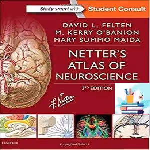 Netter’s Atlas of Neuroscience 3ed PDF Video at 1€ - کتاب پزشکی بهار