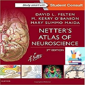 Netter’s Atlas of Neuroscience 3ed PDF Video at 1€ - کتاب پزشکی بهار
