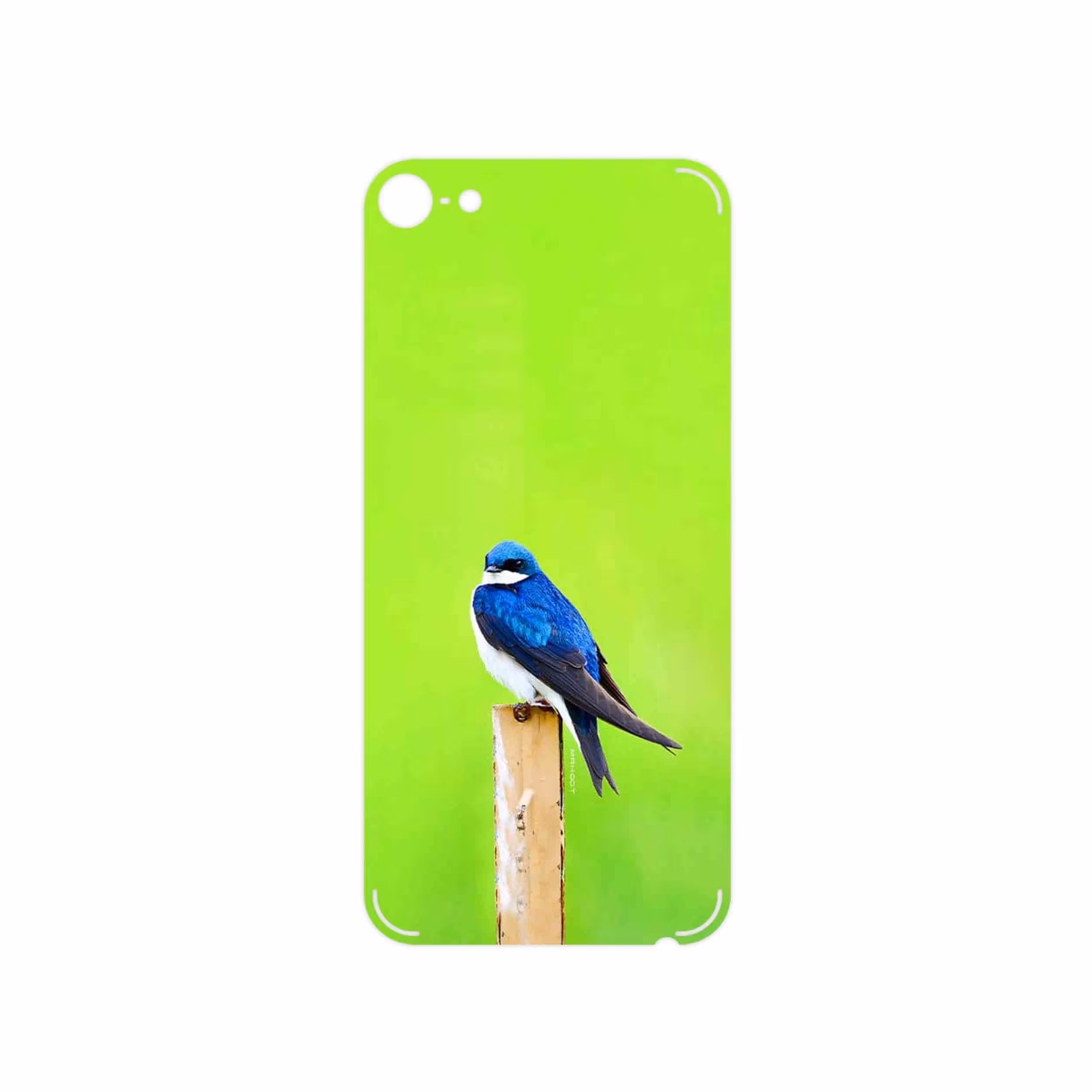 برچسب پوششی ماهوت مدل Bird Swallow مناسب برای گوشی موبایل اپل iPod touch 6th generation