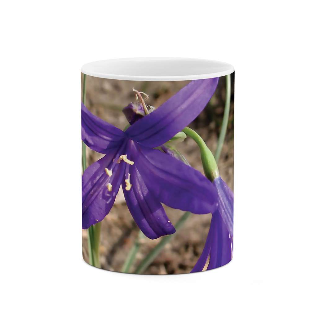 ماگ طرح گل مدل mgs06825