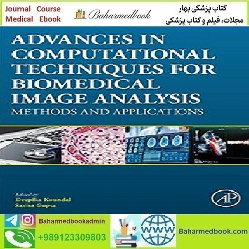 Advances in Computational Techniques for Biomedical Image