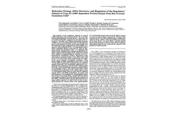 مقاله در مورد cDNA 🔬 - کتابخانه مجازی واتیکان