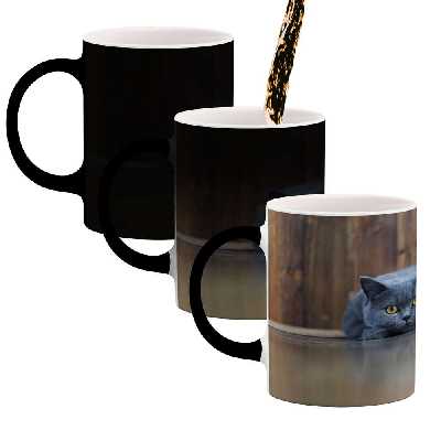 ماگ حرارتی کاکتی طرح گربه مدل mgh14160