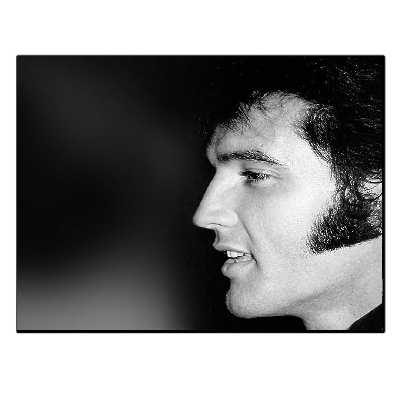 تابلو شاسی بکلیت طرح خواننده الویس پریسلی مدل SH-S6344