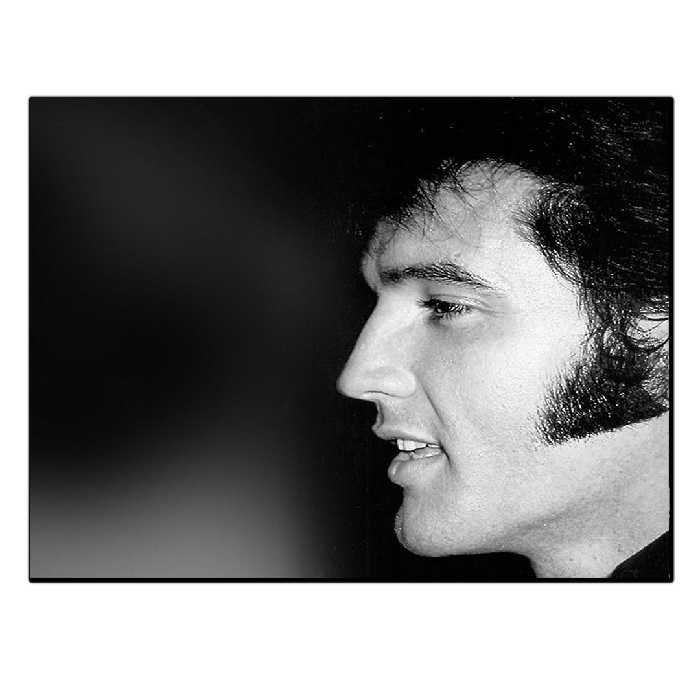 تابلو شاسی بکلیت طرح خواننده الویس پریسلی مدل SH-S6344