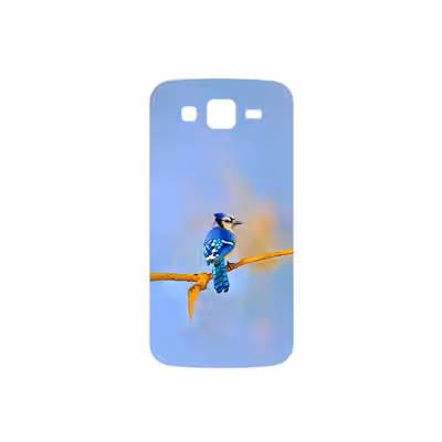برچسب پوششی ماهوت مدل Cyanocitta cristata مناسب برای گوشی موبایل سامسونگ Galaxy Grand 2