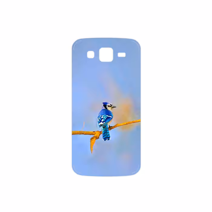 برچسب پوششی ماهوت مدل Cyanocitta cristata مناسب برای گوشی موبایل سامسونگ Galaxy Grand 2