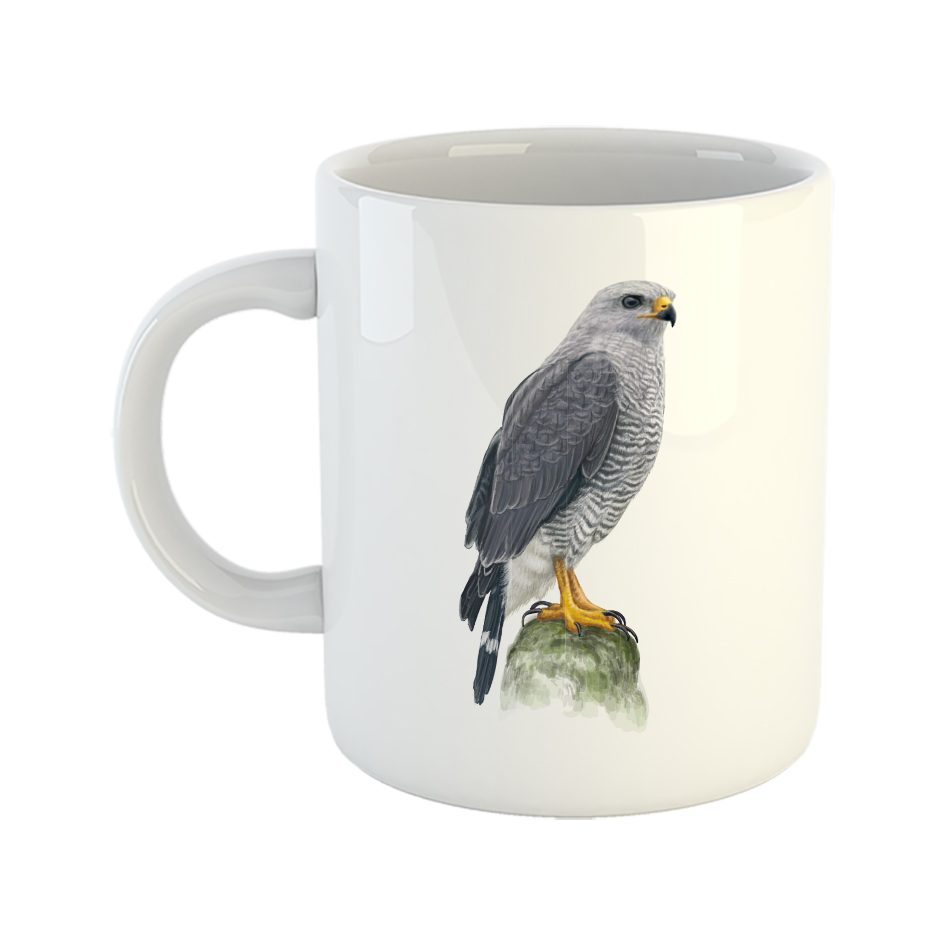 ماگ طرح عقاب تیز چنگال