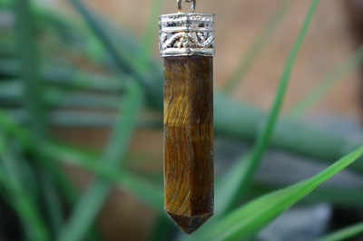 منشور چشم ببر