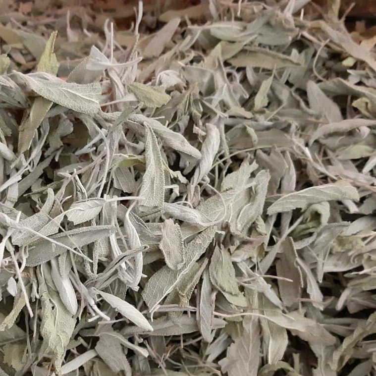 مریم گلی یک کیلویی 