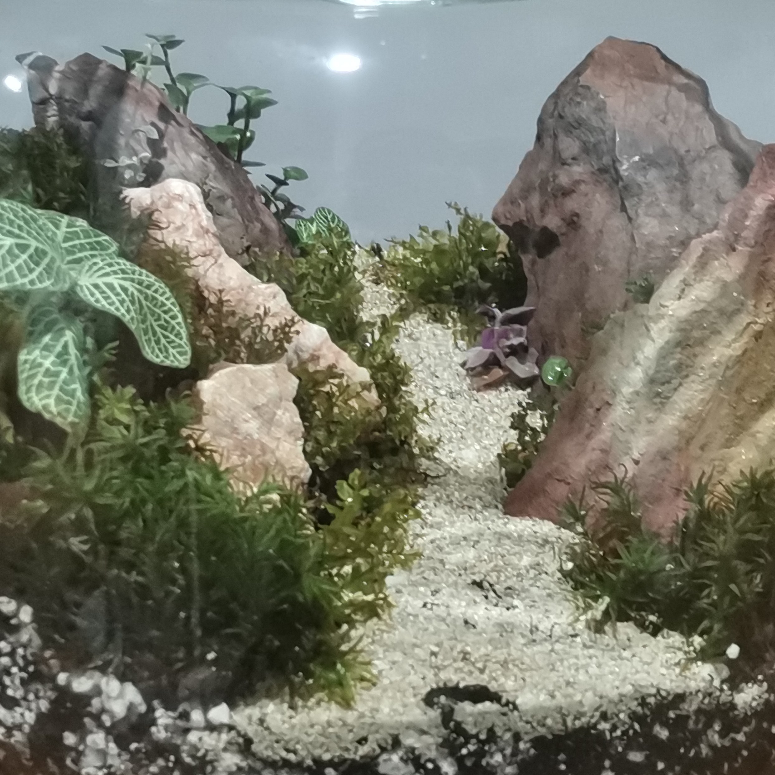 موساریوم، تراریوم 